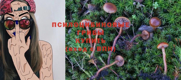 бошки Баксан