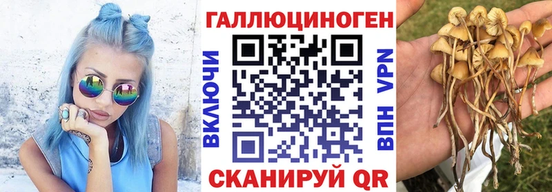 Псилоцибиновые грибы Cubensis  Купить  Венёв 